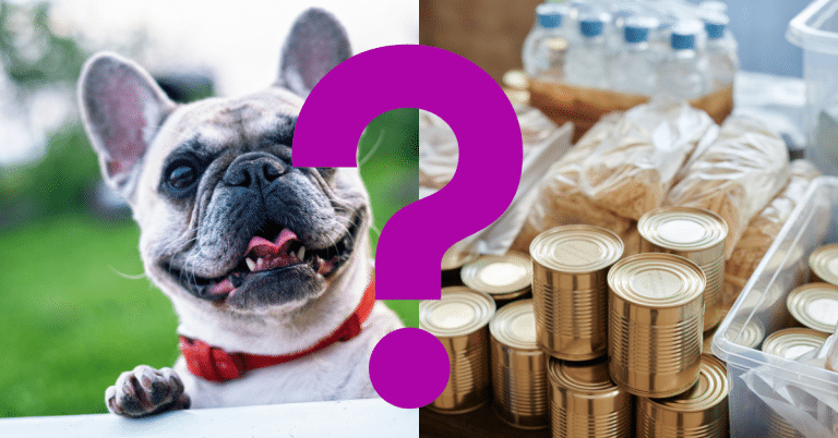 Can Dogs Eat Canned Chicken
