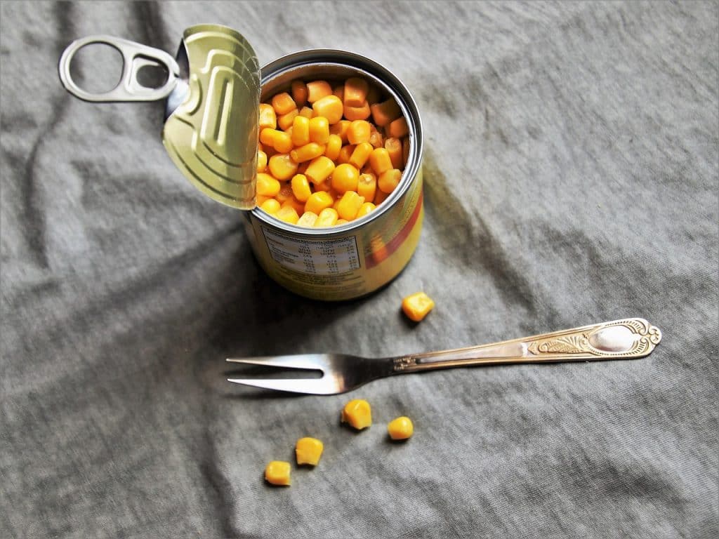 Can Dogs Eat Canned Corn 1