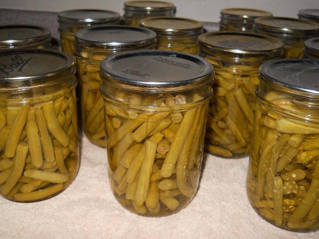 Can Dogs Eat Canned Green Beans 1