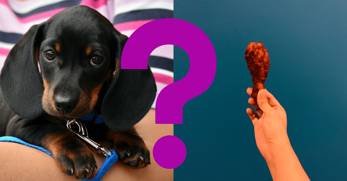 Can Dogs Eat Chicken Skin