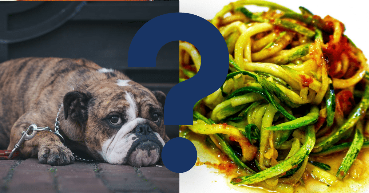 Can Dogs Eat Spaghetti Squash