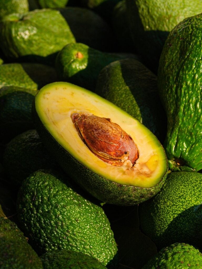 Can Dogs Eat Avocado Oil 1