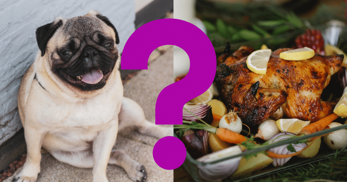 Can Dogs Eat Chicken Thighs