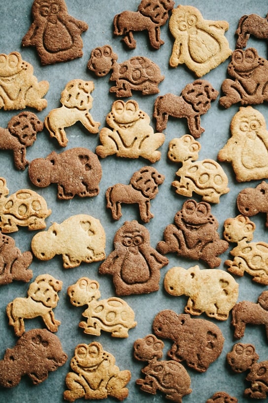 Can Dogs Eat Animal Crackers 1