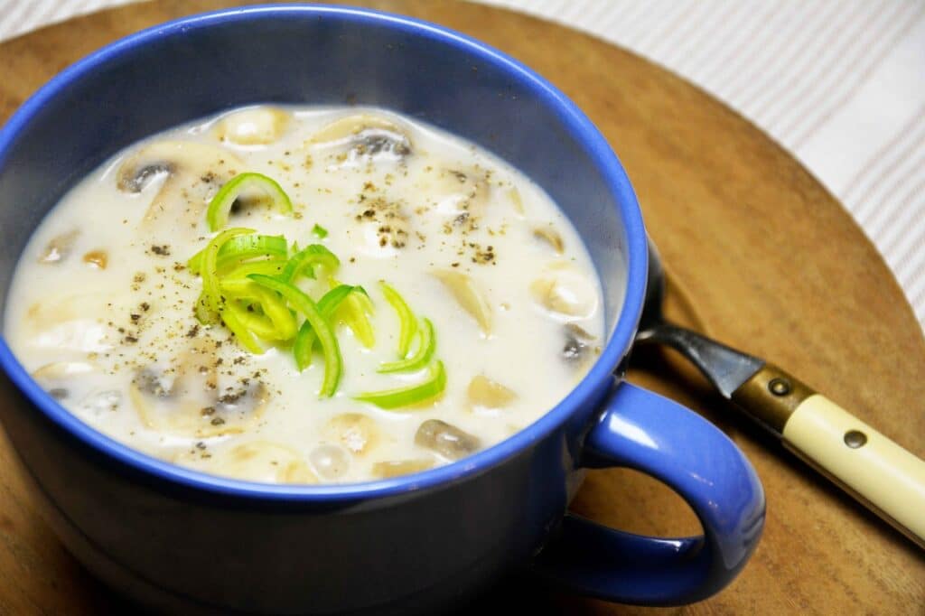 Can Dogs Eat Cream-Of-Mushroom Soup 1