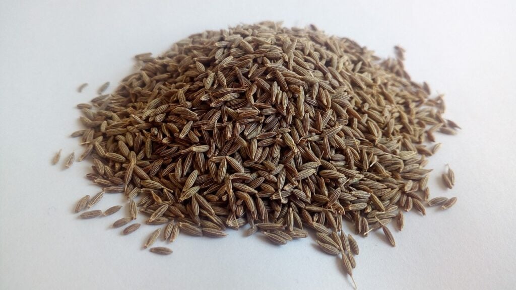 Can Dogs Eat Cumin 1