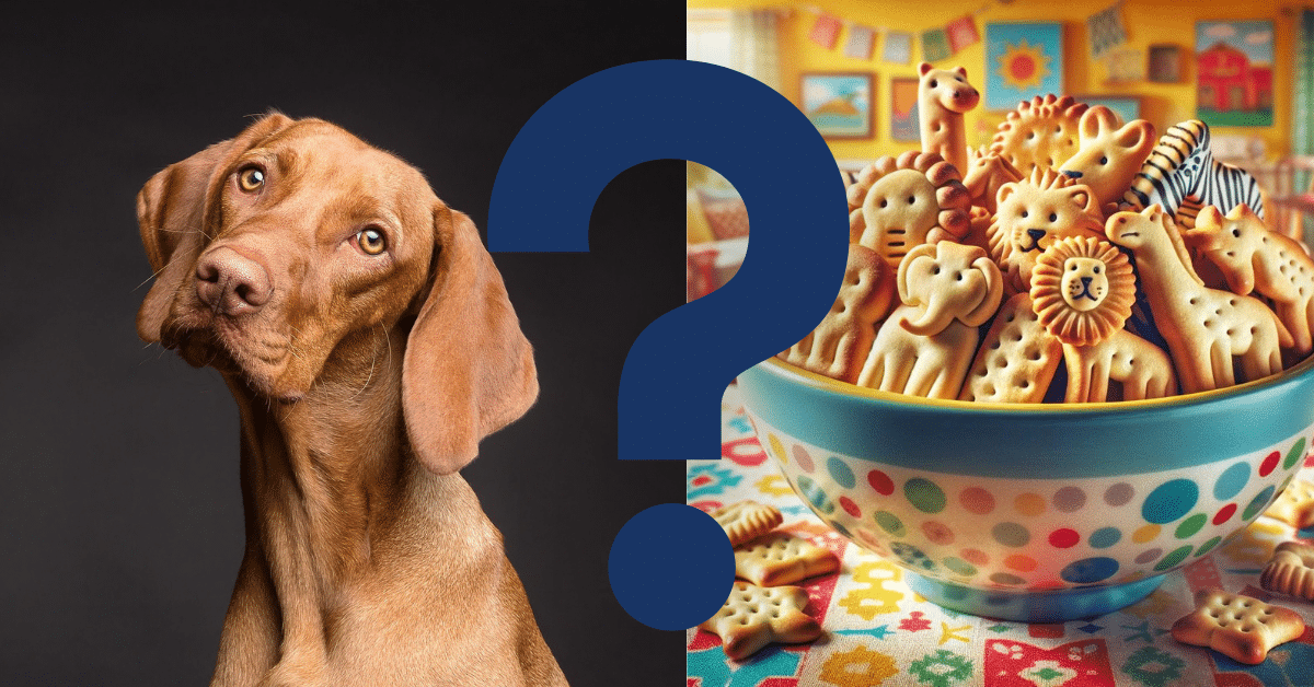 can dogs eat animal crackers A Vet’s Opinion