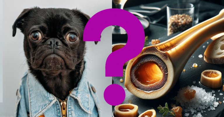 can dogs eat bone marrow A Vet’s Opinion