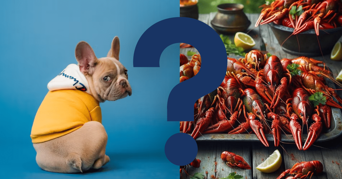 can dogs eat crawfish A Vet’s Opinion