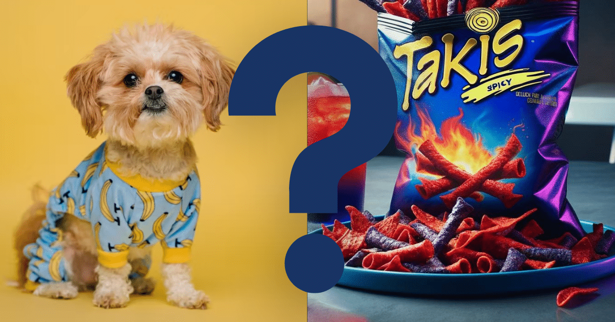 can dogs eat takis A Vet’s Opinion