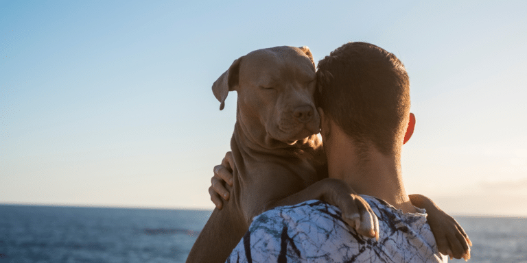 ¿Qué Medicamento Dar a un Perro con Diarrea? Un Veterinario Responde